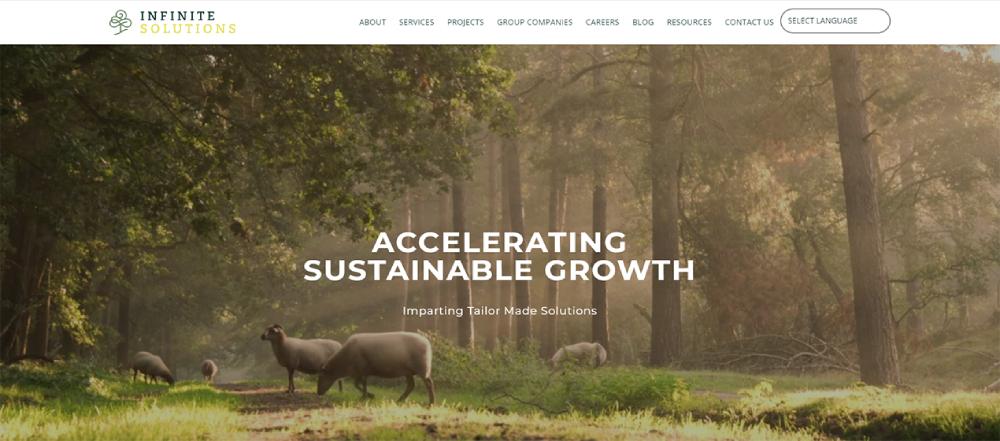 Domestic Project Portfolio